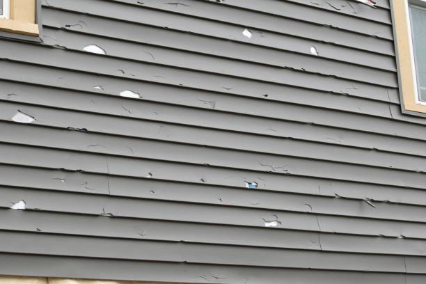 Professional Siding in Woods Cross, UT